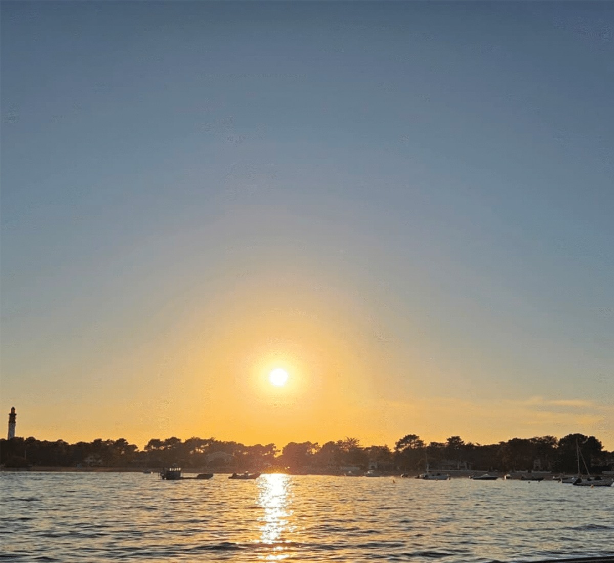 Découvrez quoi faire en automne sur le Bassin : offrez-vous une balade en bateau en automne, entre nature paisible, lumière dorée et calme retrouvé.