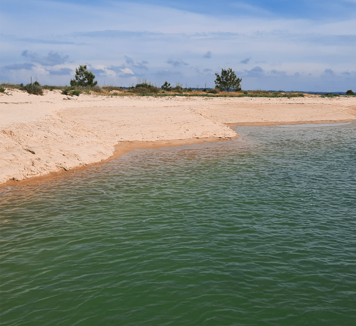 5 idées cadeau étique Découvrez 5 idées cadeau éthique pour Noël : expériences locales, mode responsable et moments à partager. Des inspirations pour offrir un cadeau original et engagé.